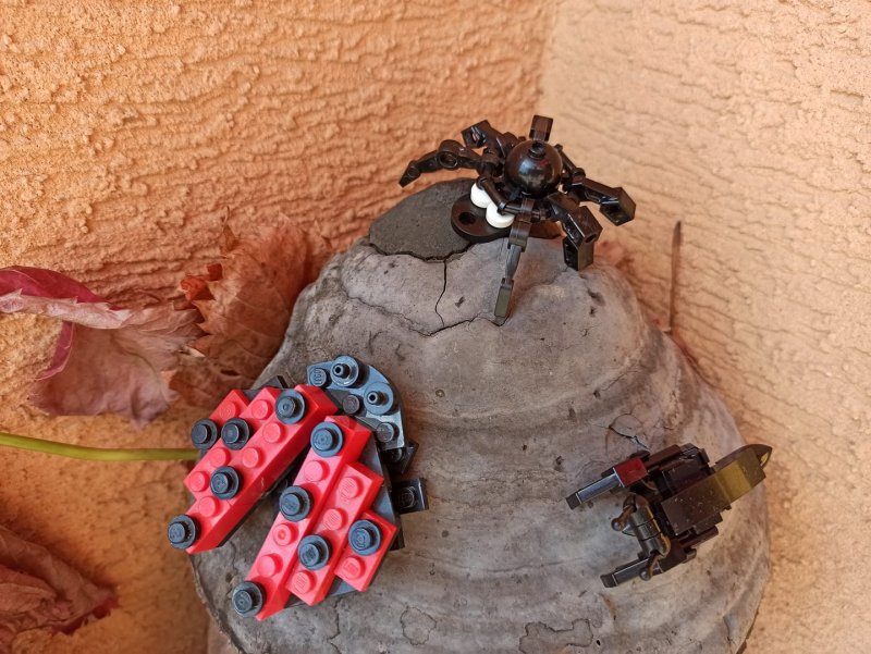 foto SOUTĚŽ Ze života hmyzu 5151