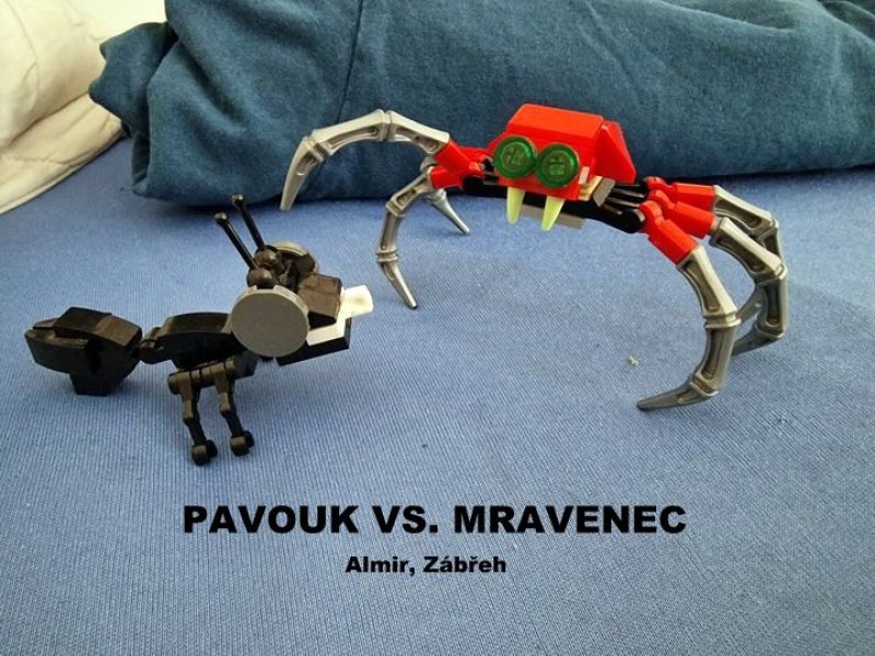 foto SOUTĚŽ Ze života hmyzu 5153