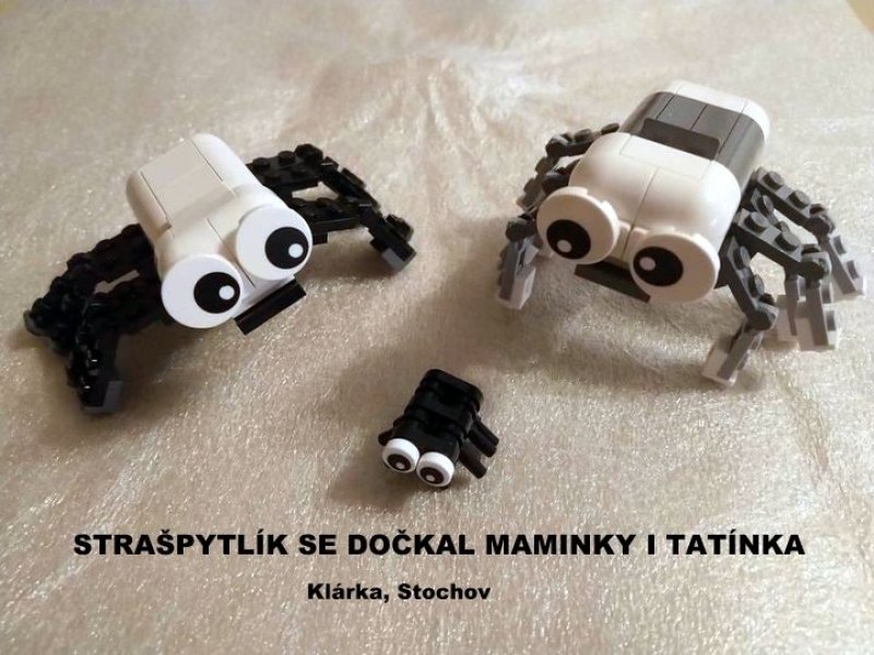 foto SOUTĚŽ Ze života hmyzu 5154