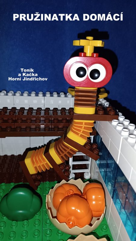 foto SOUTĚŽ Ze života hmyzu