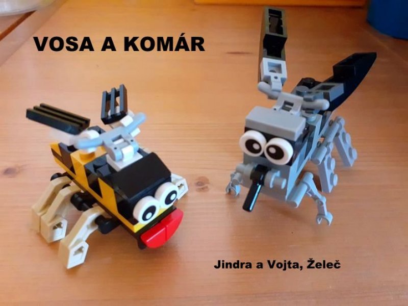 foto SOUTĚŽ Ze života hmyzu 5152