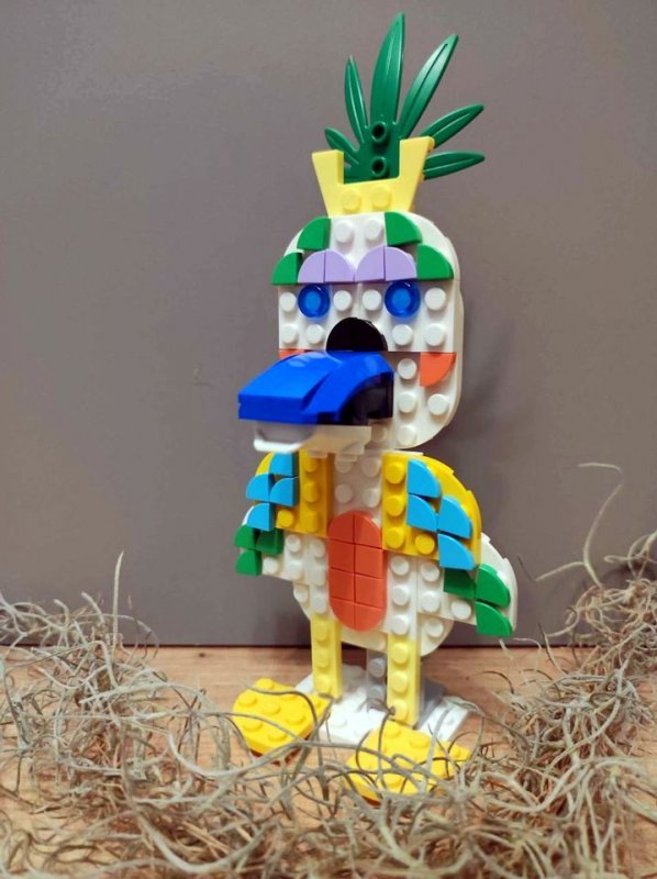 foto SOUTĚŽ Kombi II 5496