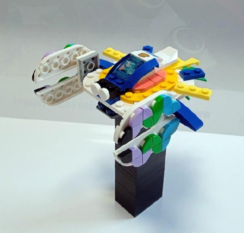 foto SOUTĚŽ Kombi II 5516