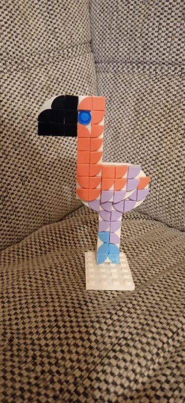 foto SOUTĚŽ Kombi II 5520