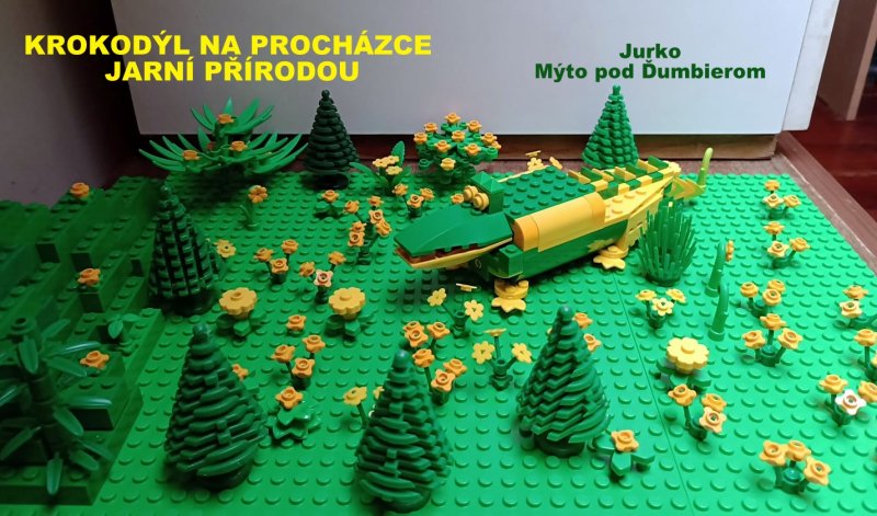 foto 10. Bleskovka ZELENÁ A ŽLUTÁ 6373