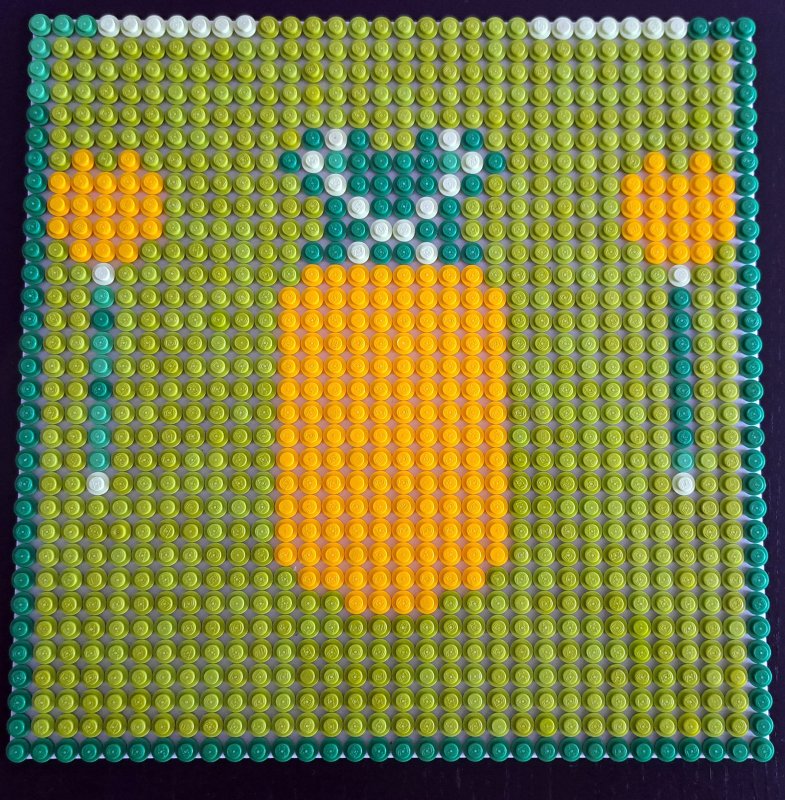 foto 10. Bleskovka ZELENÁ A ŽLUTÁ 6376