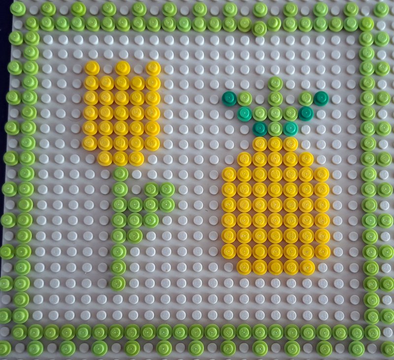 foto 10. Bleskovka ZELENÁ A ŽLUTÁ 6377