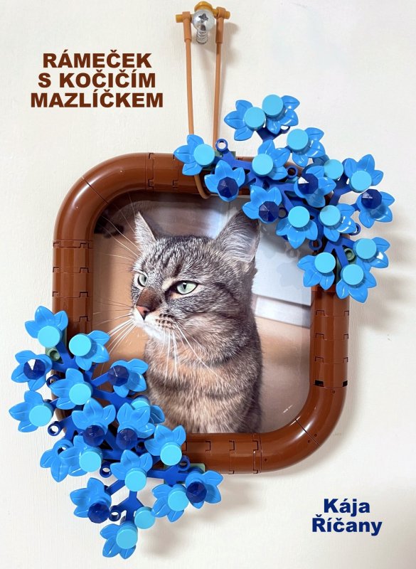 foto SOUTĚŽ Rám 6594