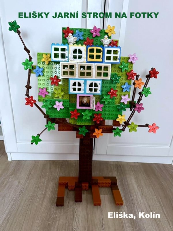 foto SOUTĚŽ Rám 6603