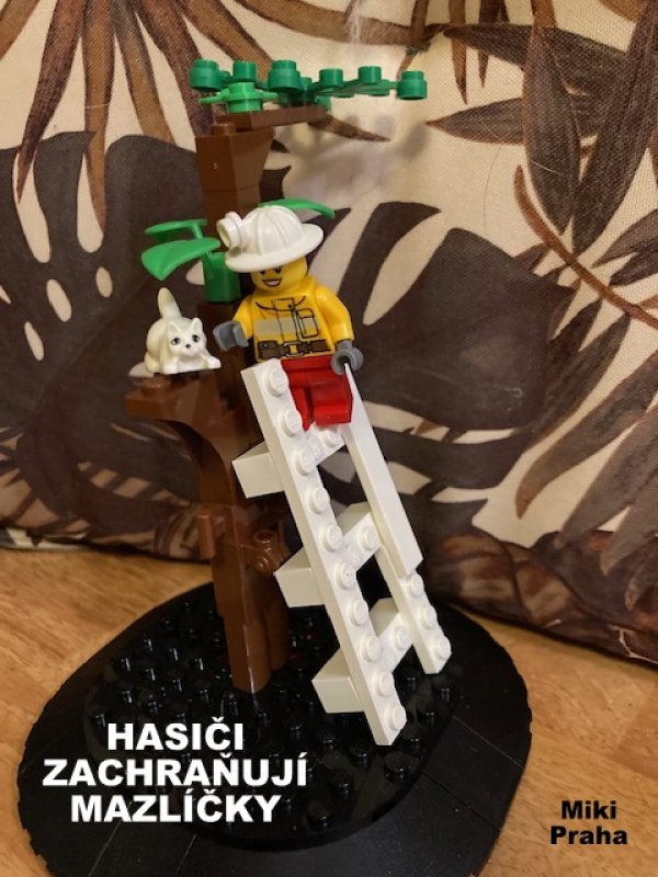 foto SOUTĚŽ Hasiči 11658