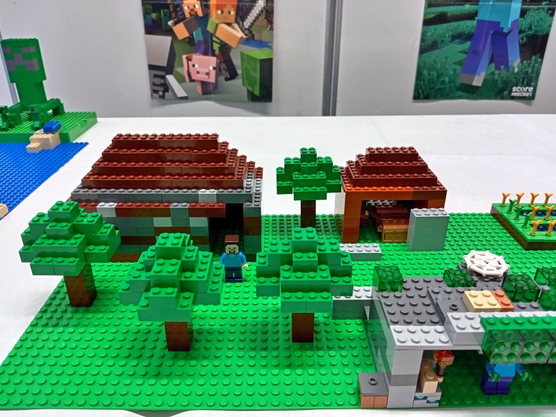 foto Rozsáhlý MINECRAFT