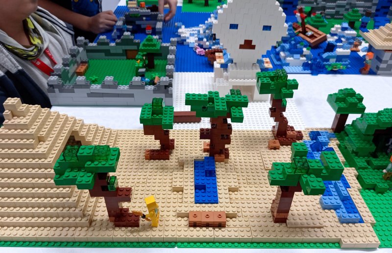 foto Rozsáhlý MINECRAFT 11671