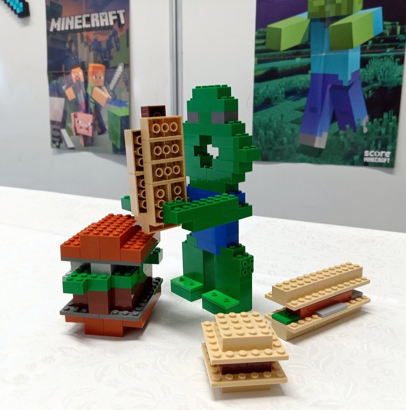 foto Rozsáhlý MINECRAFT 11693