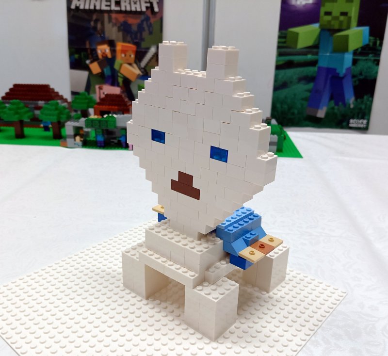 foto Rozsáhlý MINECRAFT 11712