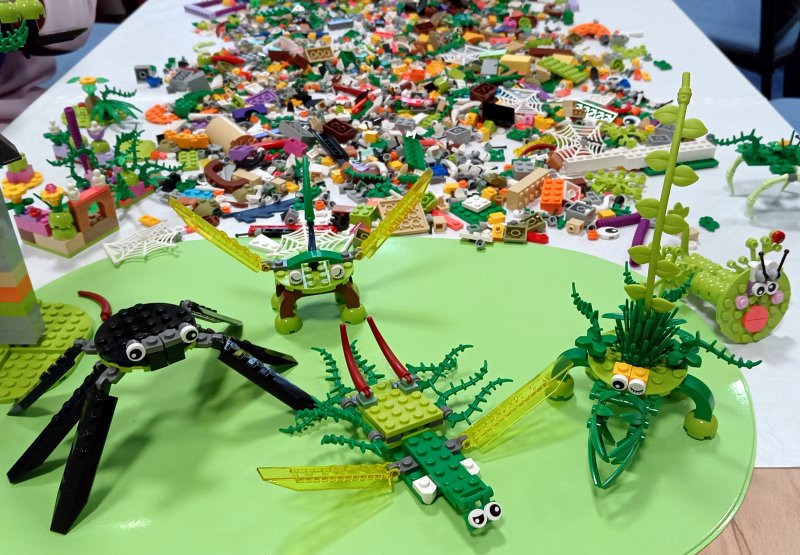 foto KOSTKOVÁNÍ ZA SKLEM 11802