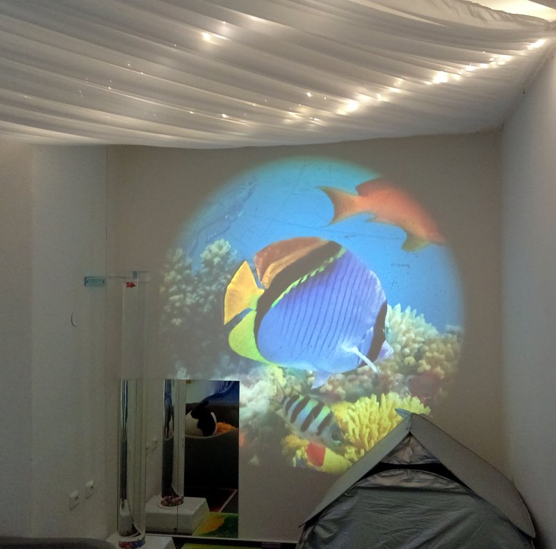 foto KOSTKOVÁNÍ ZA SKLEM 11809