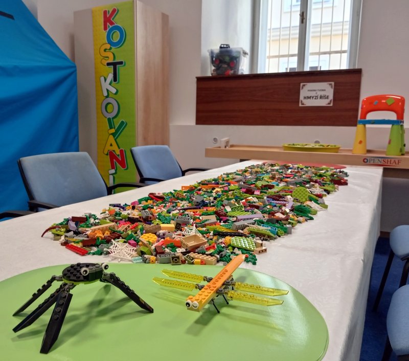 foto KOSTKOVÁNÍ ZA SKLEM 11817