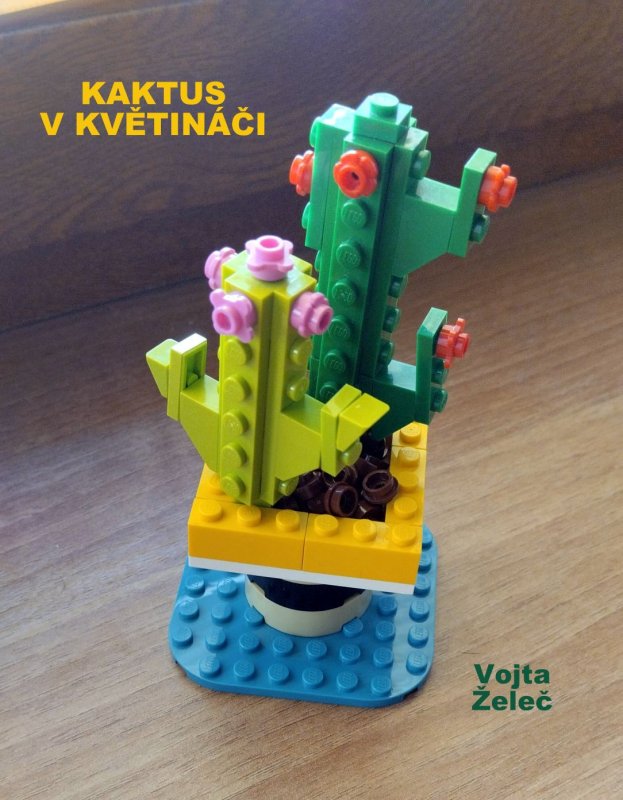 foto SOUTĚŽ Slovo na K 12068