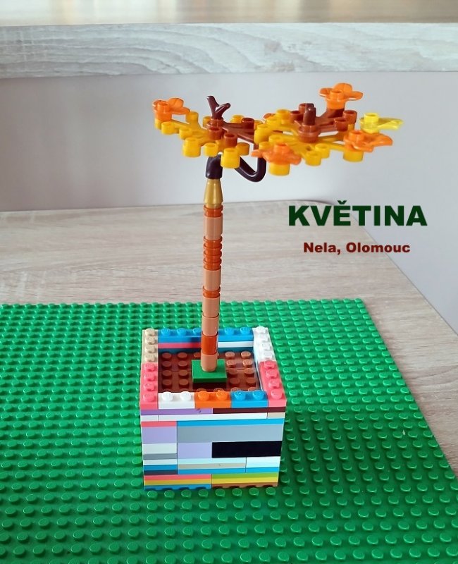 foto SOUTĚŽ Slovo na K 12071