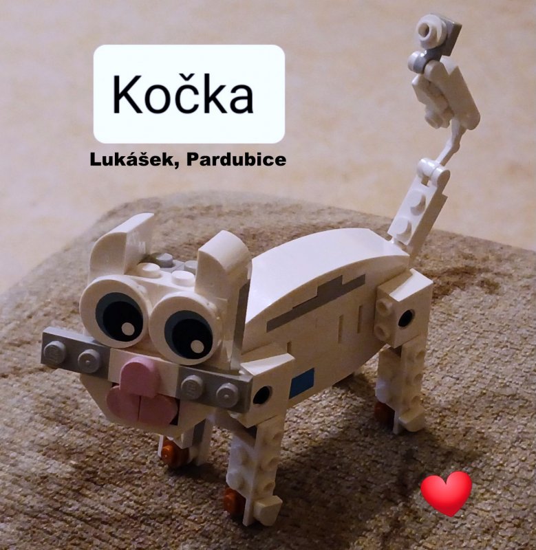 foto SOUTĚŽ Slovo na K 12081