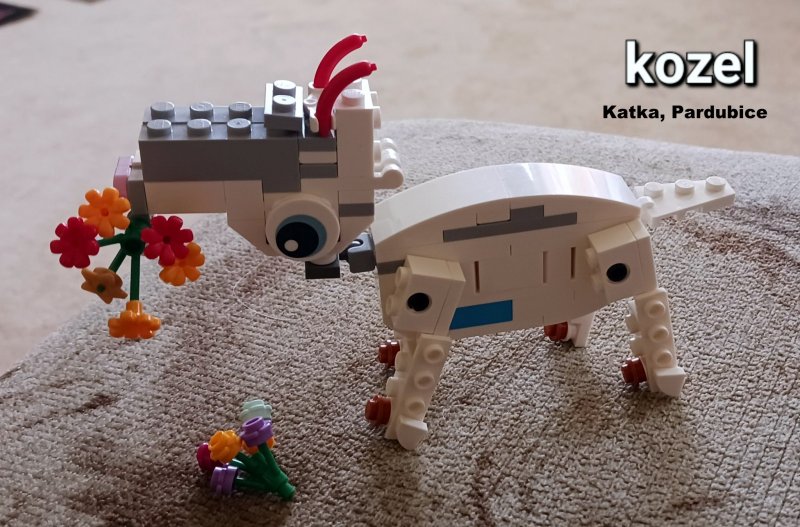 foto SOUTĚŽ Slovo na K 12082