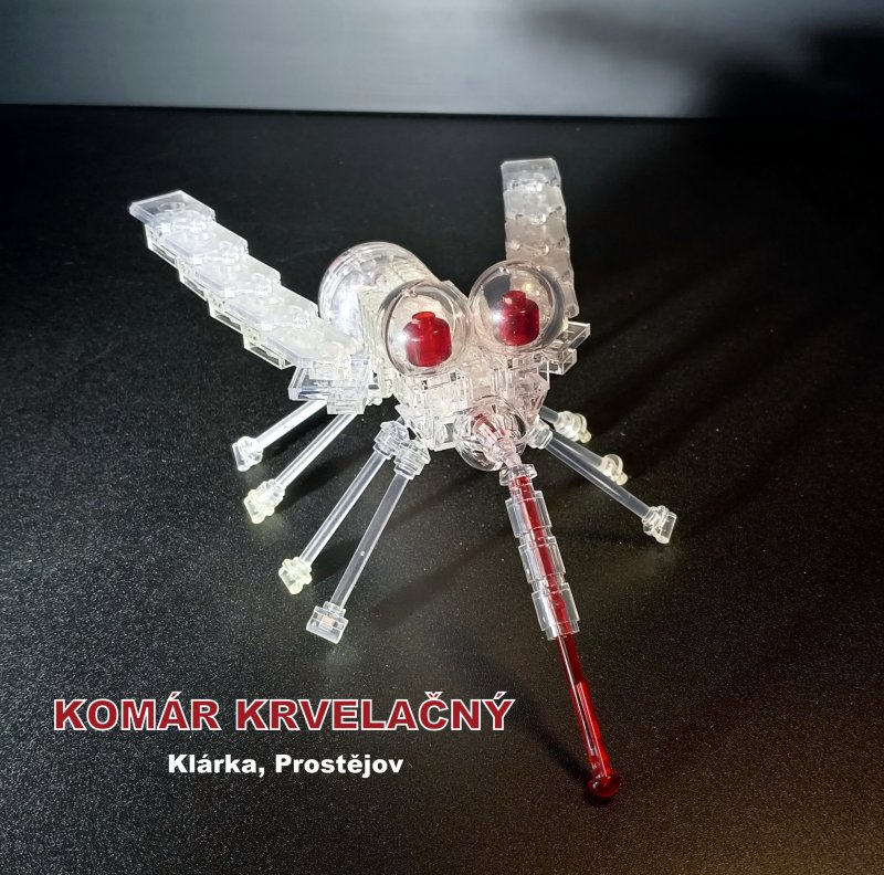 foto SOUTĚŽ Slovo na K 12085