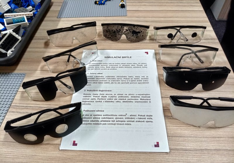 foto Kostkování mezi DĚTMI Z RANÉ PÉČE 12495