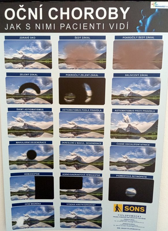 foto Kostkování mezi DĚTMI Z RANÉ PÉČE 12497