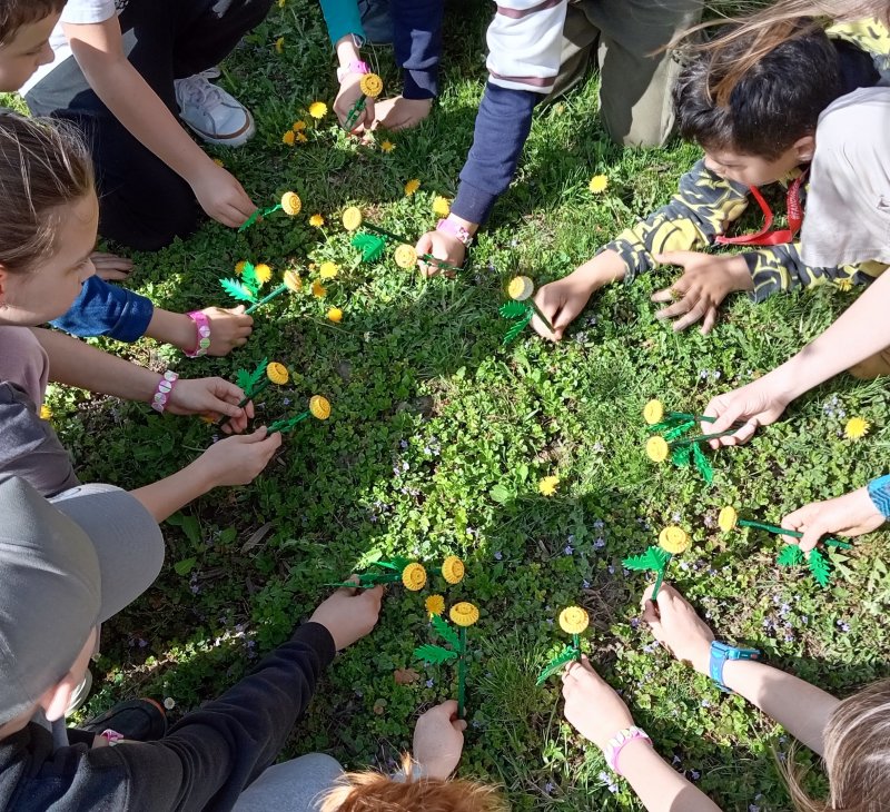 foto Tvoříme PAMPELIŠKY MEZI PAMPELIŠKAMI 12501