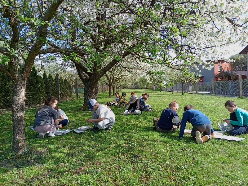 foto Tvoříme PAMPELIŠKY MEZI PAMPELIŠKAMI 12502