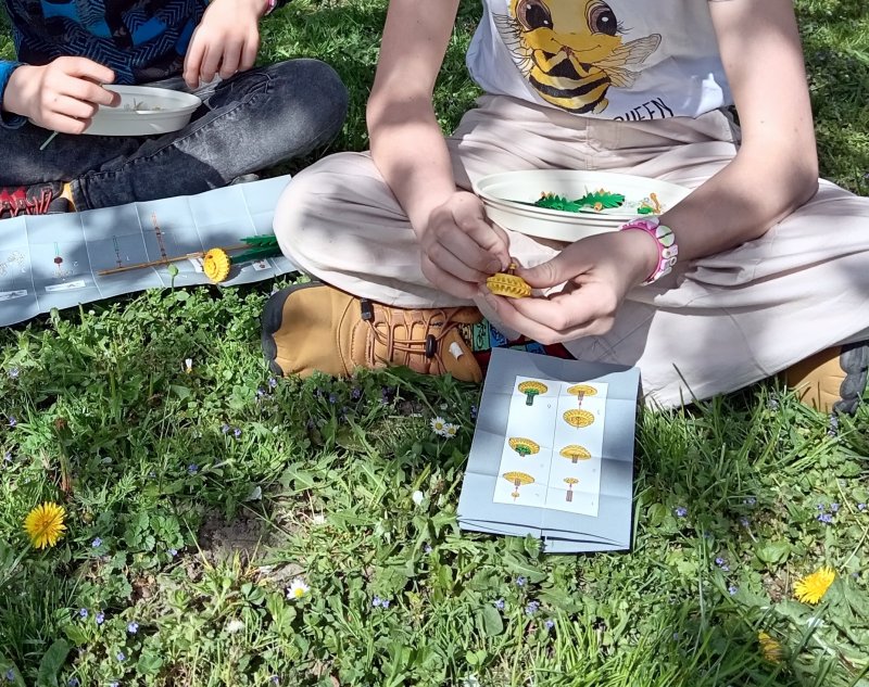 foto Tvoříme PAMPELIŠKY MEZI PAMPELIŠKAMI 12504