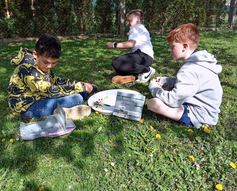 foto Tvoříme PAMPELIŠKY MEZI PAMPELIŠKAMI 12505