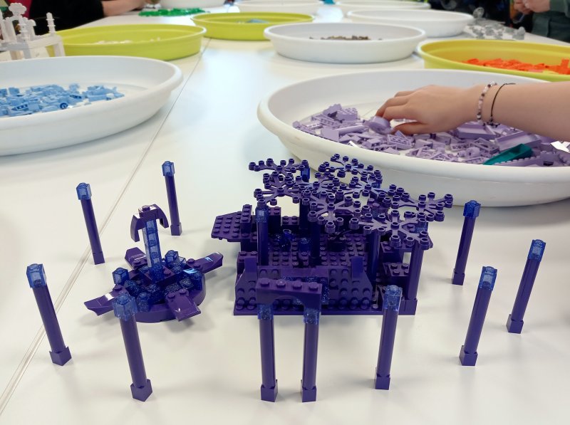 foto JEN JEDNA BARVA 12559