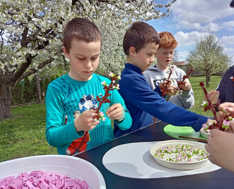 foto ROZKVETLÉ TŘEŠNĚ v třešňovém sadu 12598