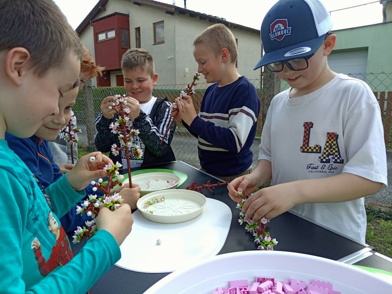 foto ROZKVETLÉ TŘEŠNĚ v třešňovém sadu 12599
