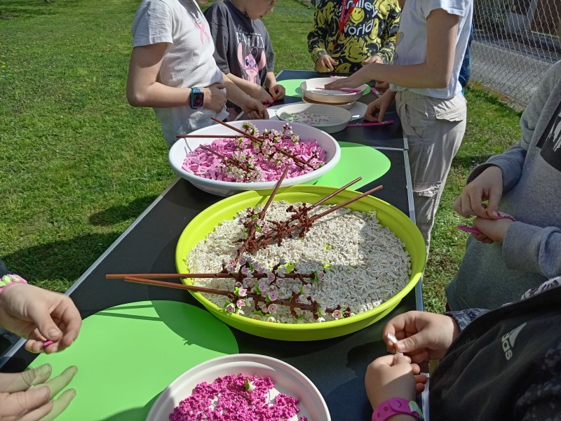 foto ROZKVETLÉ TŘEŠNĚ v třešňovém sadu 12603