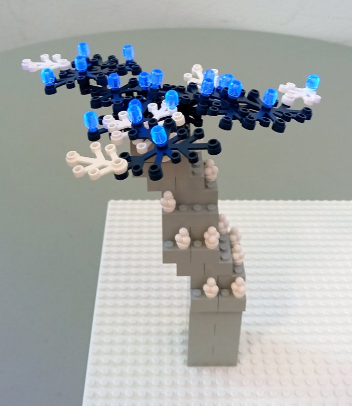 foto SVĚTLUŠKY 13296