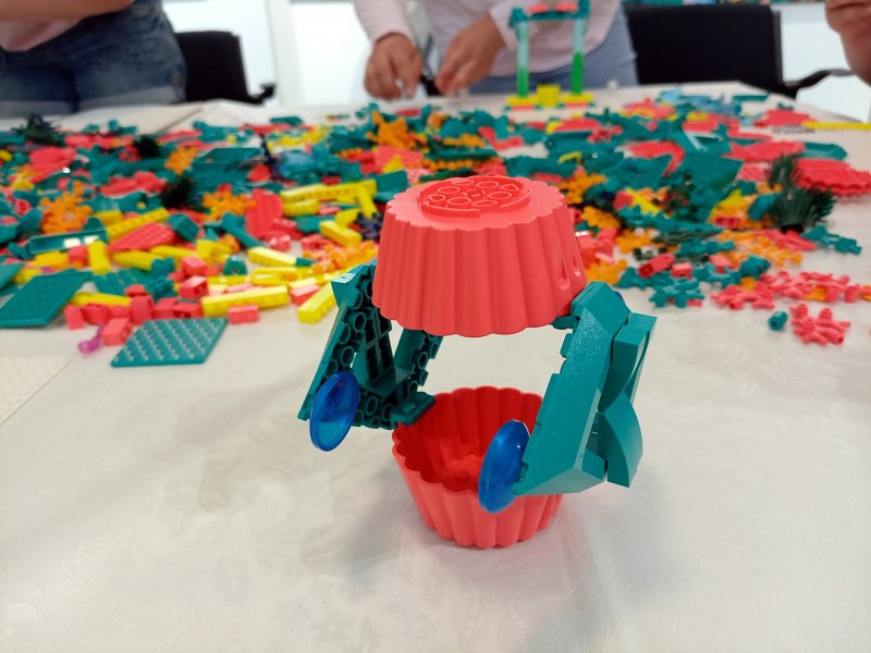 foto Nejen KVĚTY mezi KVĚTY 13746