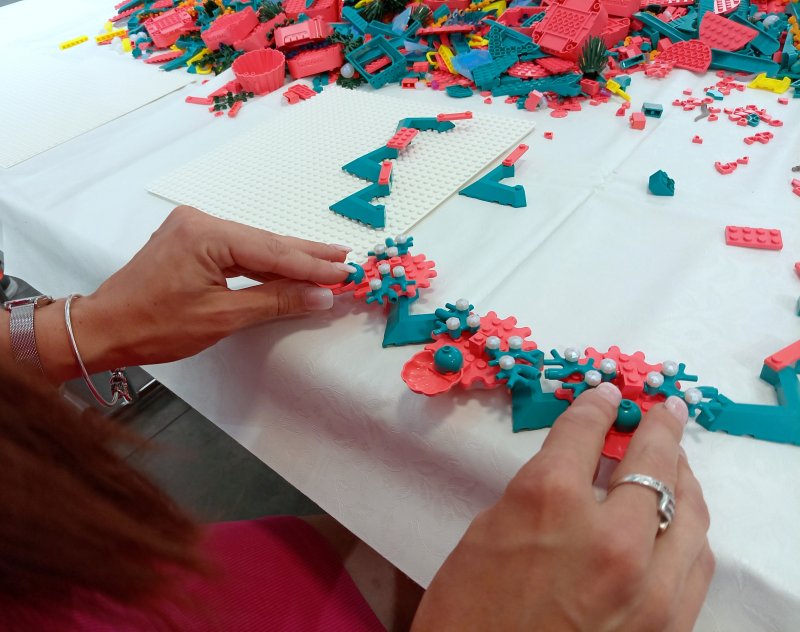 foto Nejen KVĚTY mezi KVĚTY 13748