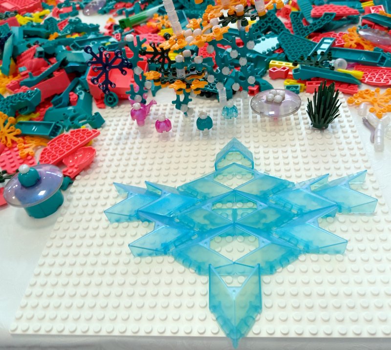 foto Nejen KVĚTY mezi KVĚTY 13755