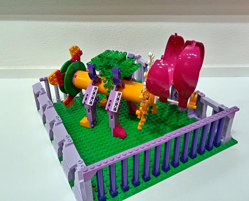 foto Nejen KVĚTY mezi KVĚTY 13764