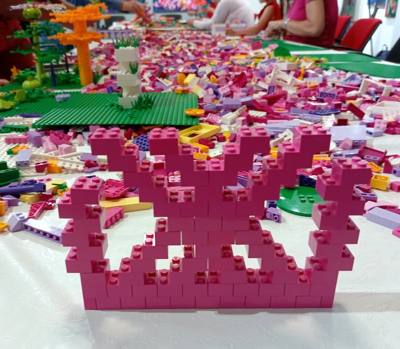 foto Nejen KVĚTY mezi KVĚTY 13768