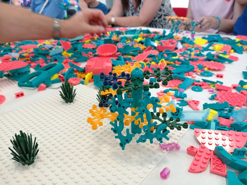 foto Nejen KVĚTY mezi KVĚTY 13774