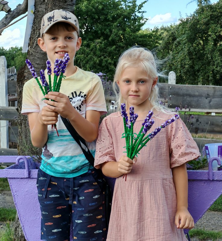 foto LEVANDULE NA LEVANDULOVÉ FARMĚ 13874