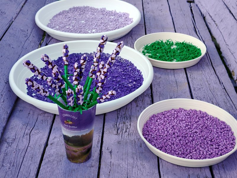 foto LEVANDULE NA LEVANDULOVÉ FARMĚ 13889