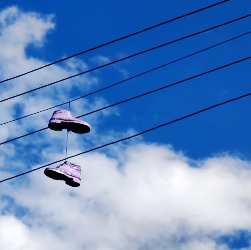 foto LEVANDULE NA LEVANDULOVÉ FARMĚ 13893