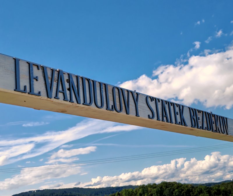 foto LEVANDULE NA LEVANDULOVÉ FARMĚ 13896