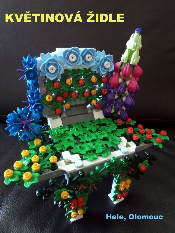 foto SOUTĚŽ Židle 13904