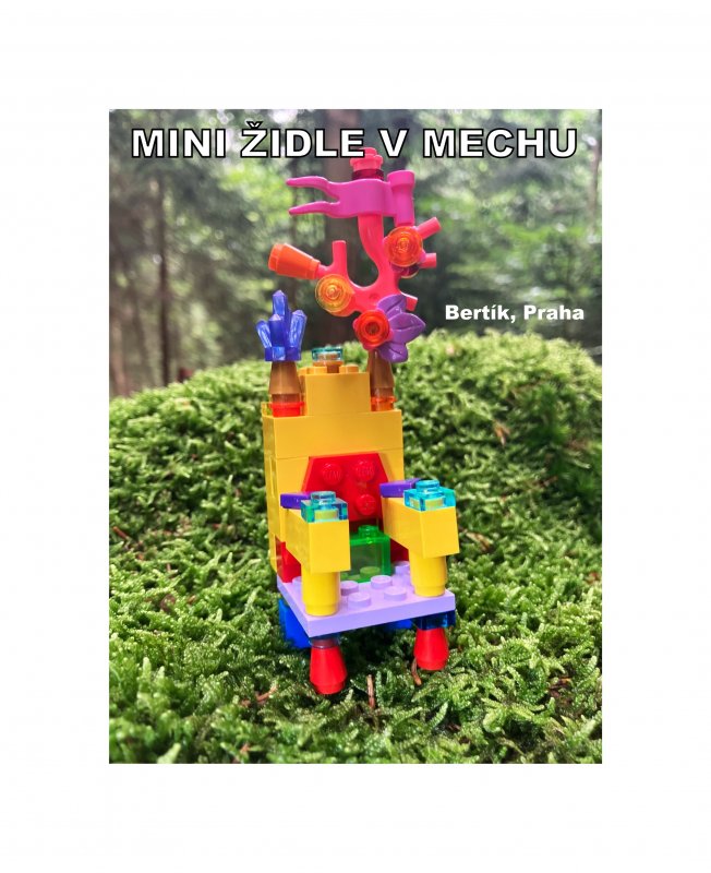 foto SOUTĚŽ Židle 13932