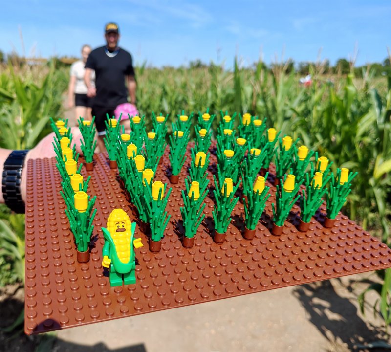 foto Kostkování ve SVĚTĚ LABYRINTŮ 13973